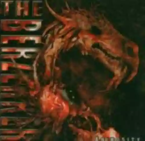 Cover The Berzerker - Animosity