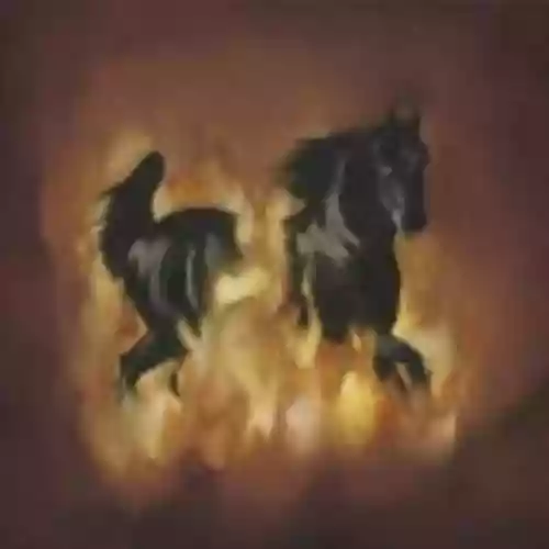Cover di The Besnard Lakes Are the Dark Horse