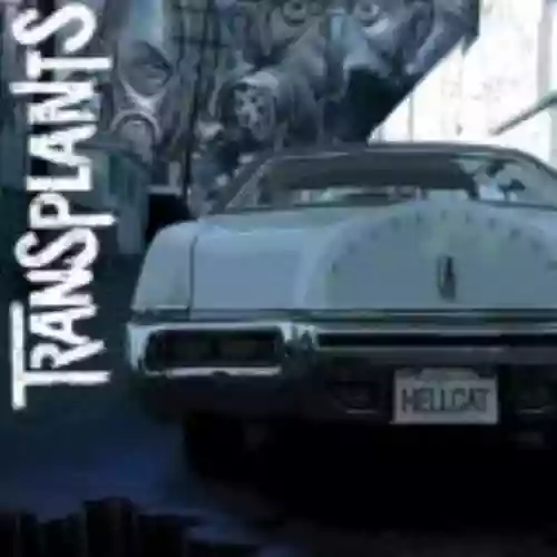 Cover di Transplants