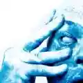 <b>Porcupine Tree</b> • In Absentia