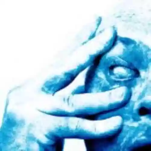 Cover di In Absentia