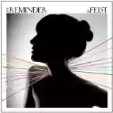 Feist: The reminder