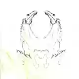 My Brightest Diamond: Tear It Down