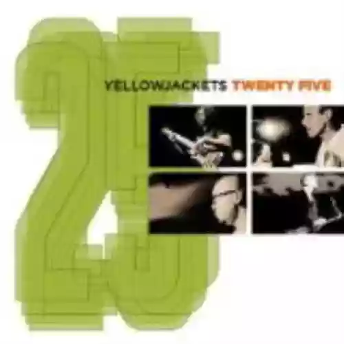 Cover di Twenty Five