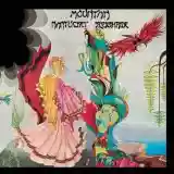 Mountain: Nantucket Sleighride