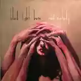 Black Light Burns: Cruel Melody