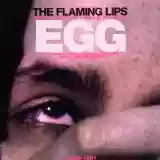 The Flaming Lips: In A Priest Driven Ambulance