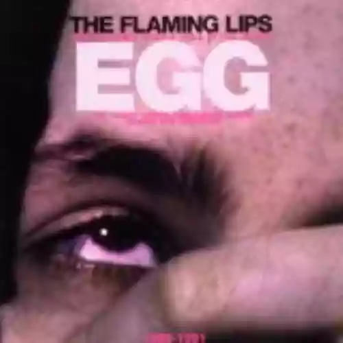 Cover The Flaming Lips - The Day They Shot a Hole in the Jesus Egg