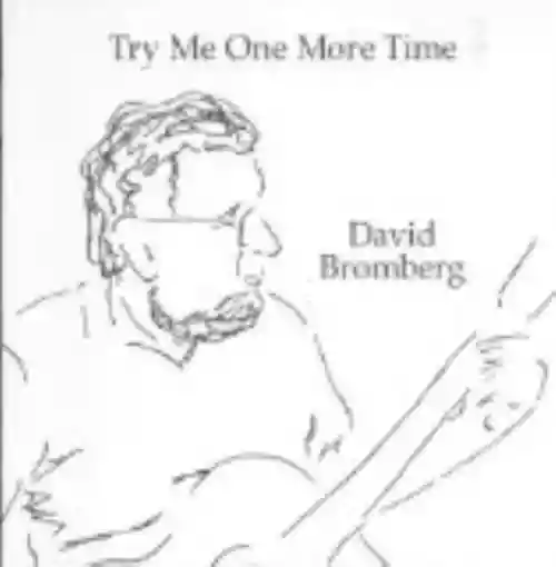 Cover di Try Me One More Time