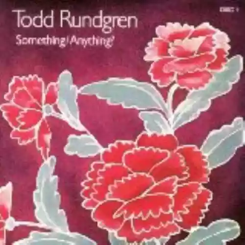 Cover di Something/Anything?