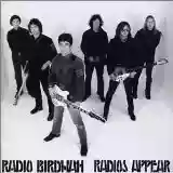 Radio Birdman: Radios Appear