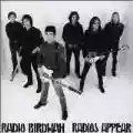 <b>Radio Birdman</b> • Radios Appear