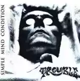 trouble: simple mind condition