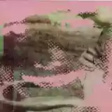 Deerhunter: Fluorescent Grey