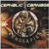 Cephalic Carnage: Xenosapien