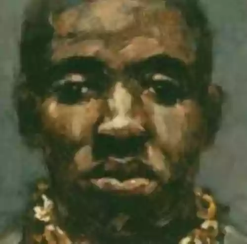 Cover di From the Plantation to the Penitentiary