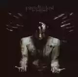 Paradise Lost: In Requiem