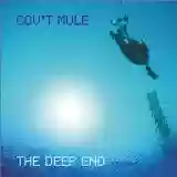 Gov't Mule: The Deep End, Volume 1