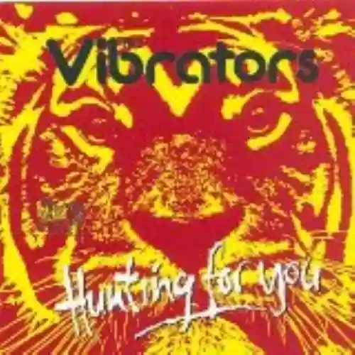 Cover di Hunting for You