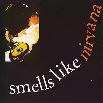 Nirvana: Smells Like Nirvana