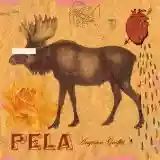 Pela: Anytown Graffiti