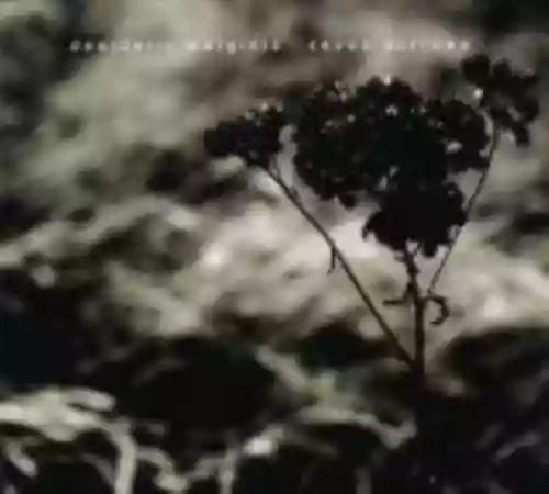 Cover di Seven Sorrows