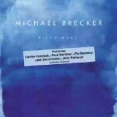 Cover di Pilgrimage