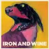 Iron & Wine: The Shepherd's Dog