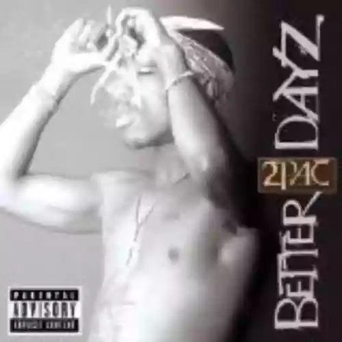 Cover di Better Dayz