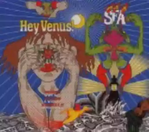 Cover di Hey Venus!