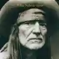 <b>Willie Nelson</b> • Spirit