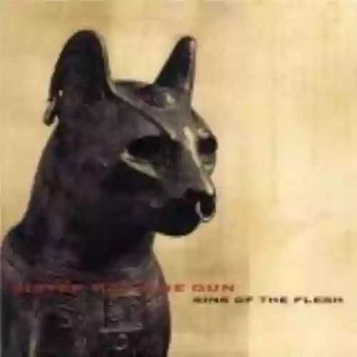 Cover Sister Machine Gun - Sins of the Flesh