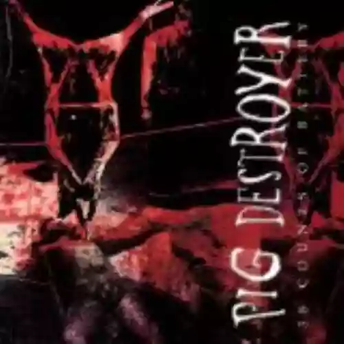 Cover Pig Destroyer - 38 Counts of Battery