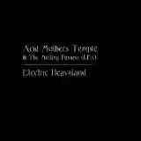Acid Mothers Temple & The Melting Paraiso U.F.O.: Electric Heavyland
