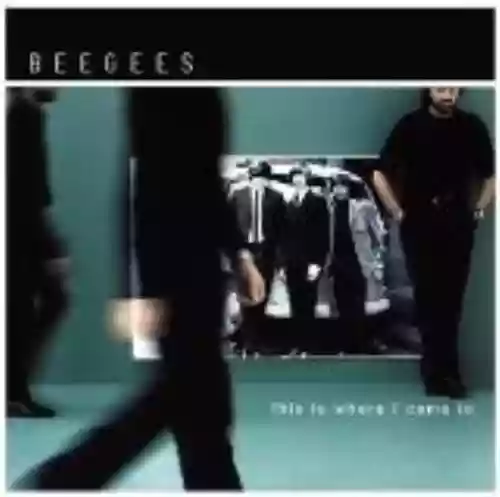 Cover Bee Gees - This Is Where I Came In