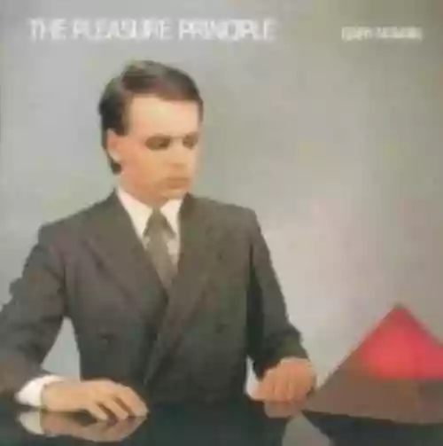 Cover di The Pleasure Principle