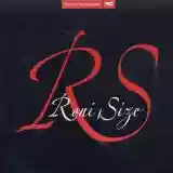 Roni Size: Touching Down