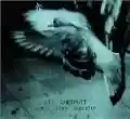<b>Vic Chesnutt</b> • North Star Deserter