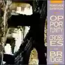 Forever Einstein: Opportunity Crosses the Bridge