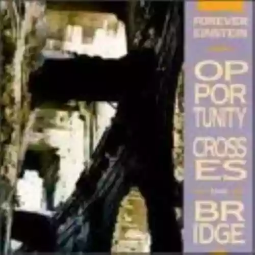 Cover di Opportunity Crosses the Bridge