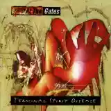 At the Gates: Terminal Spirit Disease