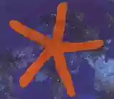 Fish: 13th Star
