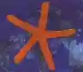 <b>Fish</b> • 13th Star