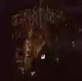 <b>Wolves in the Throne Room</b> • Two Hunters