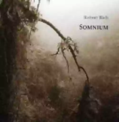 Cover di Somnium