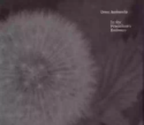 Cover Oren Ambarchi - In the Pendulum's Embrace