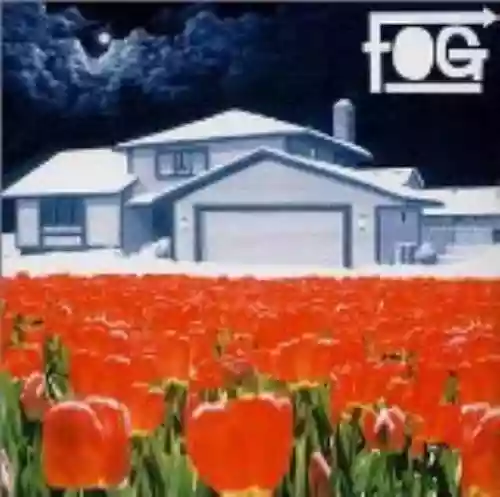 Cover di The Fog