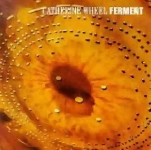 Cover Catherine Wheel - Ferment