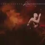 Annie Lennox: Songs Of Mass Destruction