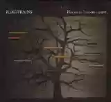 iLiKETRAiNS: Elegies to Lessons Learnt